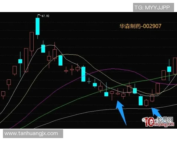 上海羽毛球队灵活性分析与战术创新的深度探讨 上海羽毛球队灵活性分析与战术创新的深度探讨
