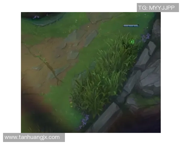 从零起步掌握英雄联盟比赛技巧与策略全解析