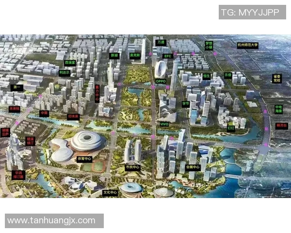 深入解析杭州网球队的实力表现与未来发展潜力