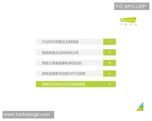 北京街舞队的控制现象与发展趋势深度解读与分析
