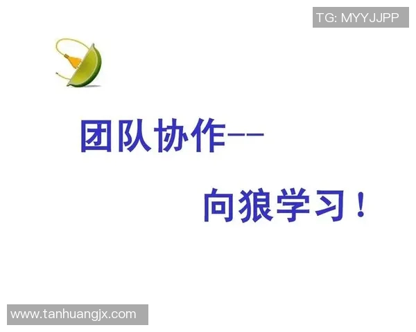 成都排球队意识探讨:提升团队协作与战术执行力的关键因素分析 成都排球队意识探讨:提升团队协作与战术执行力的关键因素分析